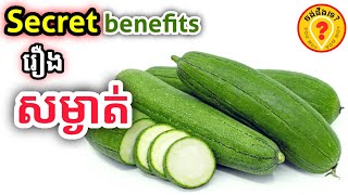 Health advantages of sponge gourds អត្ថប្រយោជន៍របស់ផ្លែននោង