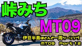 【モトブログ】タイトターンの続く峠道を楽しむ！！   伊豆半島ほとんど一周ツーリング  Part12 もんきちChannel 【motovlog】【MT09】