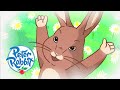 #Easter Peter Rabbit - One Hour Special! 🐇  | Tales of the Week | Cartoons for Kids