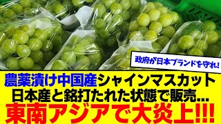 農薬漬け中国産シャインマスカットを日本産と銘打ち販売、東南アジアで大炎上!!!