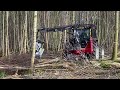 Hypro 755 + FG 45 Felling Grapple | Clearing Birch In Chestnut Coppice