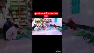 #কুরআনের পাখিদের# চমৎকার দৃশ্য#