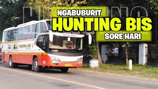 Wowww hunting bis di jl raya maospati sore hari | NGABUBURIT ✔️✔️✔️