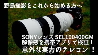 野鳥撮影　SONY α１で解像度検証！SONY純正望遠レンズの底力は？前編テレコンの意外な実力も？SEL100400GM