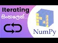 Python Numpy Tutorial - 07 | Iterating | Sinhala