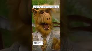 ALF (although an alien \u0026 aliens aren’t real) He knows what’s up! #rockmusic #rockvideos #ALF #TRUTH