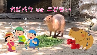 Capybara vs. Children