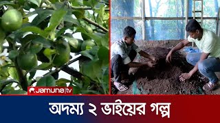 কুমিল্লায় লেবু বাগান করে সফল দুই ভাই | Cumilla | Lemon Cultivation | Jamuna TV