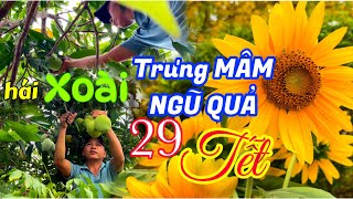 Không khí những ngày giáp Tết của gia đình Miền Tây | 29 Tết Giáp Thìn 2024