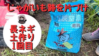 じゃがいも跡を片づけ【長ネギ】の土作り１回目【石灰窒素】【家庭菜園】