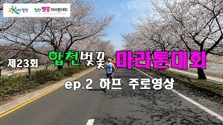 제23회 합천벚꽃 마라톤대회 ep.2 하프 주로영상 #풀코스 #하프코스 #달리기 #40대운동 #합천벚꽃마라톤대회