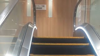 escalator ラスカ茅ヶ崎　エスカレーター