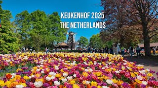 Keukenhof Gardens 2025 | 4K Walking Tour in Blooming Tulip Heaven🌷[4k - 60 FPS]