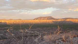 Ecosystems and drought