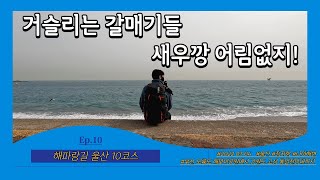 [울산 해파랑길 10코스] Ep.10 거슬리는 갈매기들 새우깡 어림없지!ㅣ정자항~나아해변ㅣ부산에서 강원도 고성 통일전망대까지 770km의 대장정