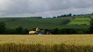 9060r cuting wholecrop in abbeyfiele