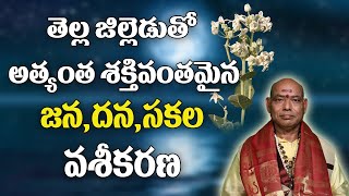 తెల్ల జిల్లేడుతో వశీకరణ | Vashikarna Vidhanam In Telugu |Powerful Vashikaran | Parishkara Margam