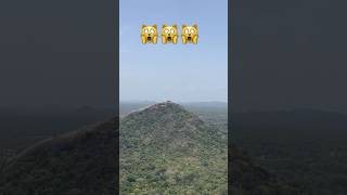 #පිදුරංගල [pidurangala]view on #sigiriya 🇱🇰✨