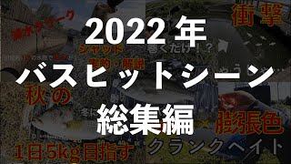 【バス釣り】記憶に残ったバスヒットシーンまとめ【2022年】