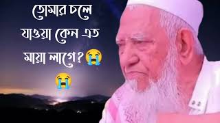 হাজার লাশের ভীড়ে, তোমার দেহটা কেন এত মায়া মায়া লাগে!!Islamic singer Mahfuzur Rahman! hossaini tv