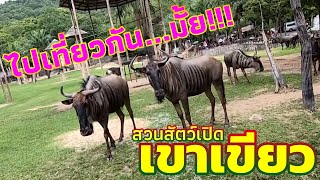 พาไปเที่ยว สวนสัตว์เปิดเขาเขียว | ขี่รถเข้าไปชมสัตว์ ก็ได้นะ..!