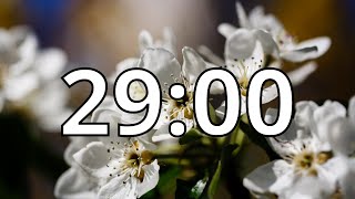 29 Minutes Timer with Music | Spring Timer