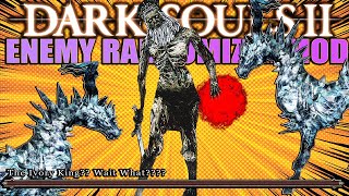 Some Things I've NEVER Seen Before - DS2 Enemy Randomizer Mod