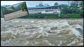 0781 🏡 തോരാത്ത മഴയും 🌧️ കുറച്ചു പാചകവും 🍍 പൈനാപ്പിൾ തോരൻ 🥝 സിമ്പിൾ ചക്കക്കുരു കറി 🏞️