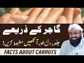 Health Benefits of Carrots | Soban Attari | Carrot Juice Benefits | Gajar khane ke Fayde