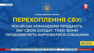 окупанти з голоду їдять собак, бо їхні командири продають сухпайки