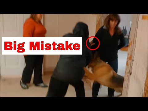 Protection Dog Training for Pets (K9-1.com) Protection Dog Training for Pets (K9-1.com)