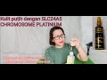 kulit putih dengan Infus whitening slc24a5 Chromosome Platinium (@ Bunda Yuni )