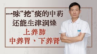 一味“挖”痰的中药，还能生津润燥，上养肺，中养胃，下养肾