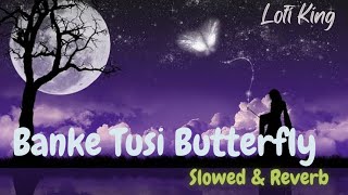 Banke tusi butterfly full song by jass manak slowed and reverb editted by lofi king #song