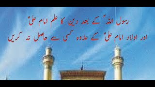 ولایت امام علی ؑ  کے اقرار سے نبوت کا اقرار جڑا ہوا ہے اور نبوت کے اقرار سے توحید کا اقرار جڑا ہوا