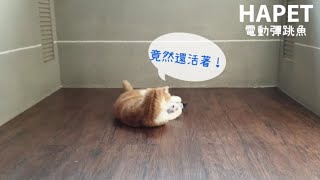 活跳跳的魚超新奇！｜超逼真電動彈跳魚｜好寵嚴選物｜★HAPET 好寵 (hapet.com.tw)