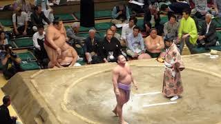 Chiyomaru (9-6) - Kotoeko (8-7) , Sumo : Natsubasho '17