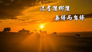 雜阿含250經(1版)沒有誰綁誰解無縛的縛[德藏法師](有字幕)