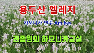 용두산 엘레지 - 하모니카 연주