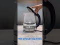 pigeon glass kettle