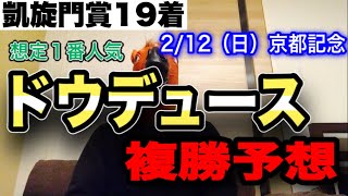 【2/12阪神11R 京都記念】ドウデュース複勝予想【競馬】【複勝】