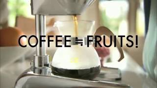 Coffee is Fruits