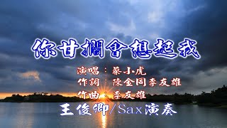 你甘擱會想起我(蔡小虎)/Alto Sax/俊卿 薩克斯風演奏