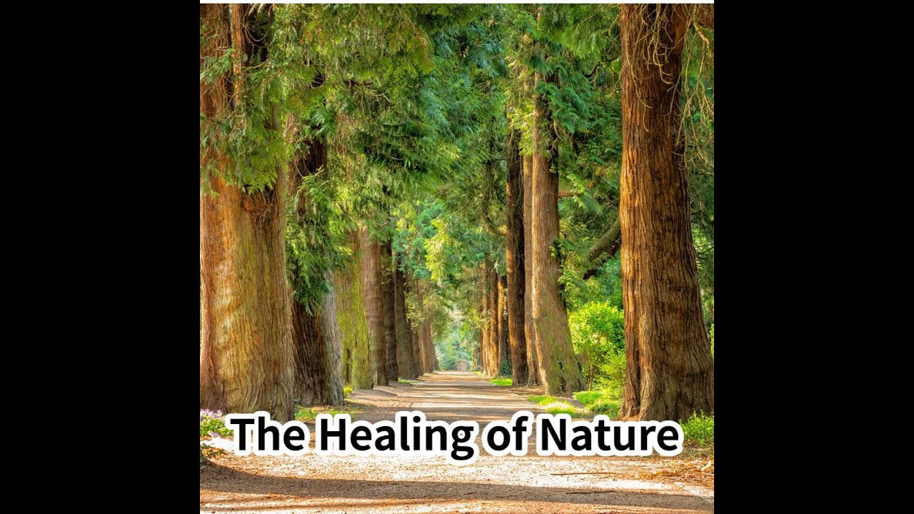 The Healing Of Nature - YouTube