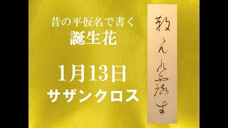 サザンクロス　１月１３日誕生花　ー 散 々 无 九 露 寸ー　かな書道