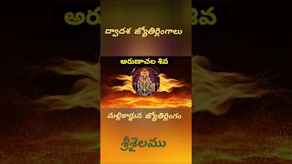 ద్వాదశ జ్యోతిర్లింగాలు లో రెండవ లింగము శ్రీశైలము ఆంధ్రప్రదేశ్ రాష్ట్రంలో లో ఉంది