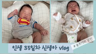 인생 35일차 신생아 vlog (#용쓰기 달인, #아이패드 육아일기, 밥먹이고, 트림시키고, 재우면 하루가 다가는 신생아의 하루)