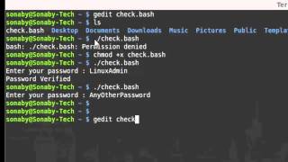 learn If statement in bash shell scripting with example