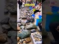 Stone Market in China 😨😱 #shorts #shortfeed #facts #viral