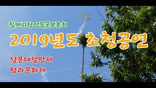 2019년도 초청공연 (사진 편집 영상) - 설문대할망제, 탐라문화제